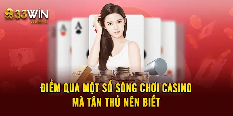 Điểm qua một số sòng chơi casino mà tân thủ nên biết 