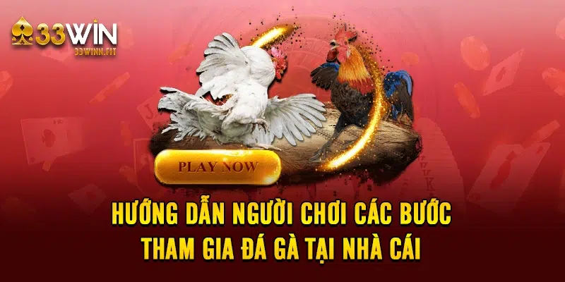 Hướng dẫn người chơi các bước tham gia đá gà tại nhà cái 